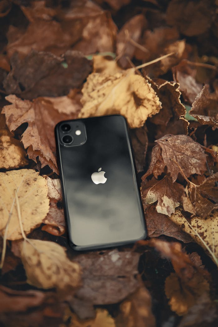 A sleek smartphone lying on a bed of vibrant autumn leaves, capturing the essence of fall's natural beauty.